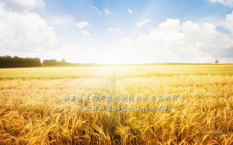 描写西湖的现代诗