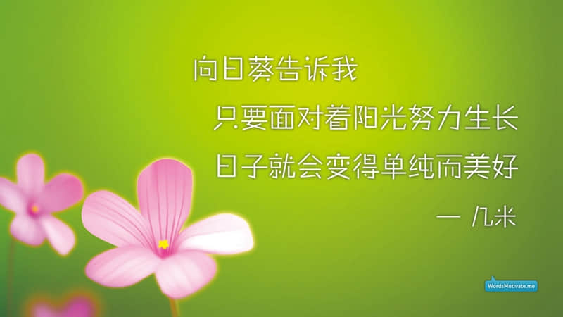 申论名言警句：名节源于党性，腐-败止于正气