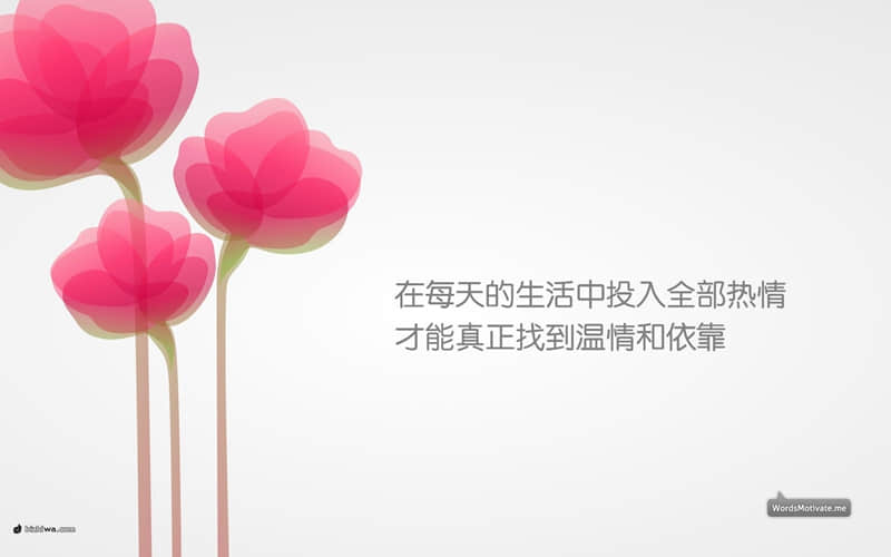 一些比较有哲理的句子：爱错了人，每天都是愚人节