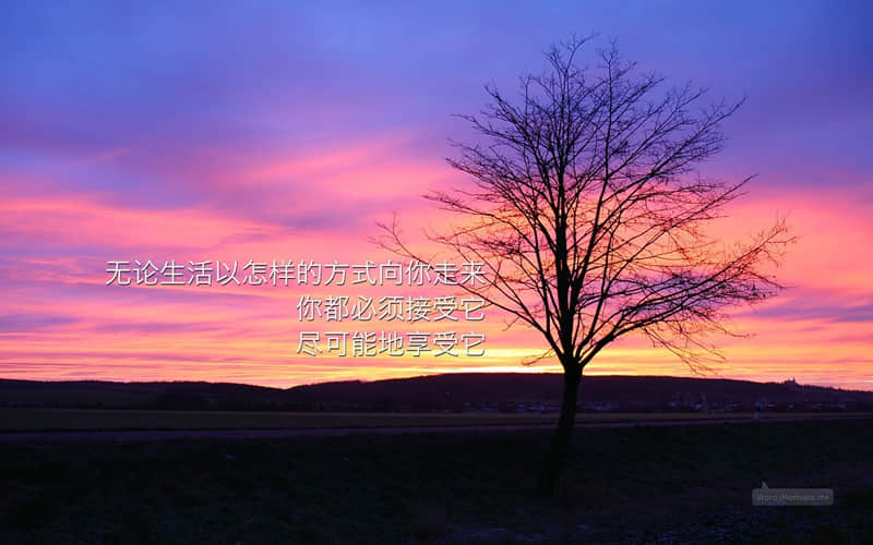 "救命啊，朋友圈这样发太有感觉了～"