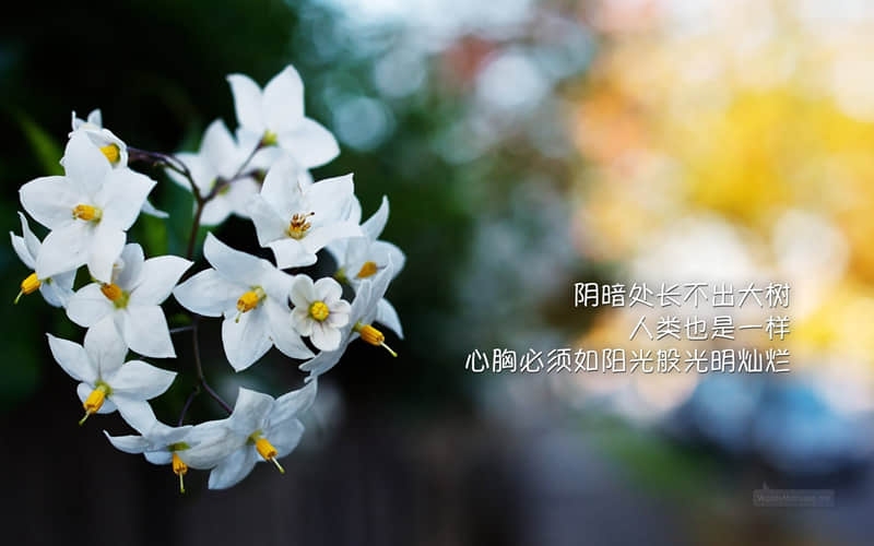 深夜放毒的幽默说说 吃货发朋友圈可爱句子