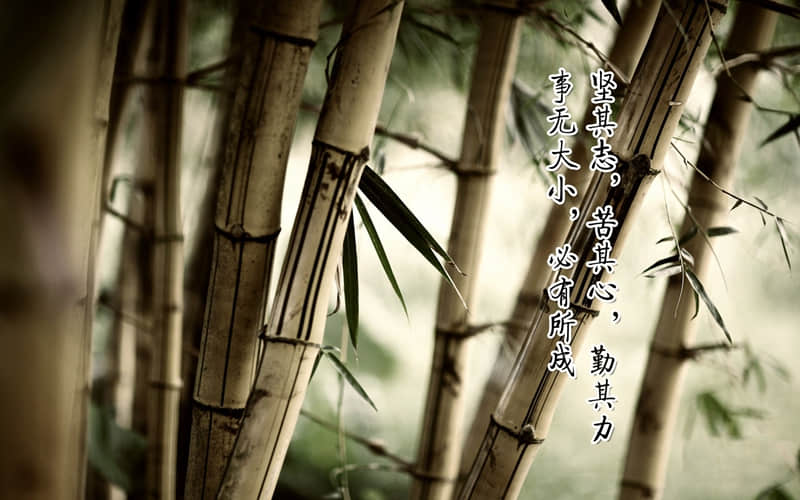 美食说说简单气质一句话(精选58句)