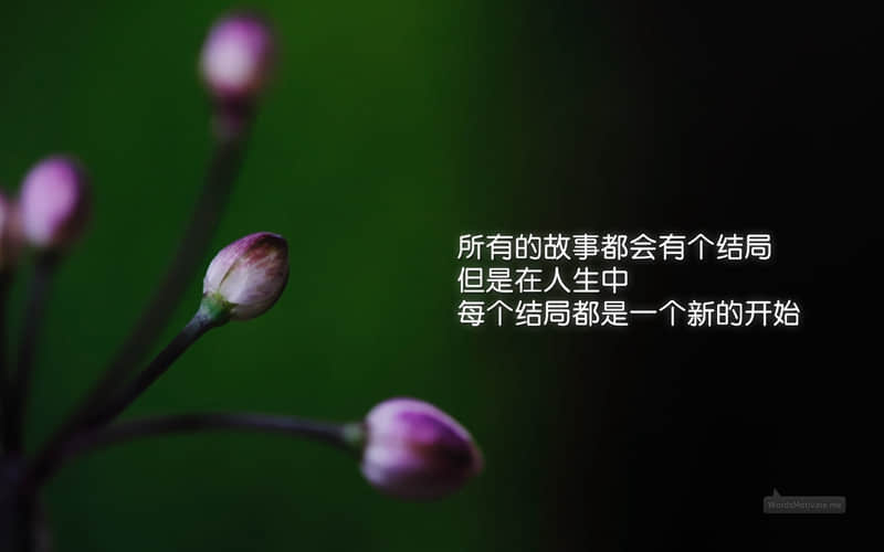 关于爱的诗