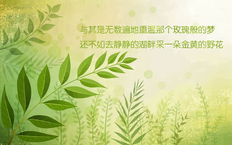 荷花的说说朋友圈简短话