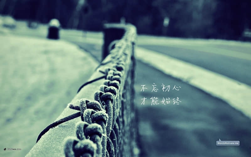 关于爱情的诗歌