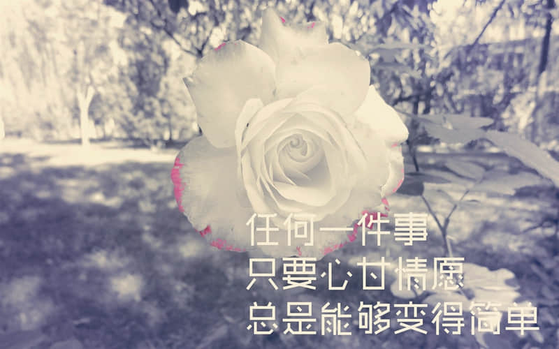 2019年爱情句子：永远不会忘记我们第一次见面，那时我并不知道，我会爱你爱的这么深