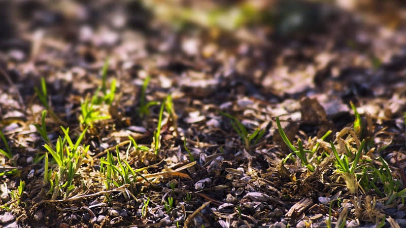 明天5月20日可发给对象的撩人情话