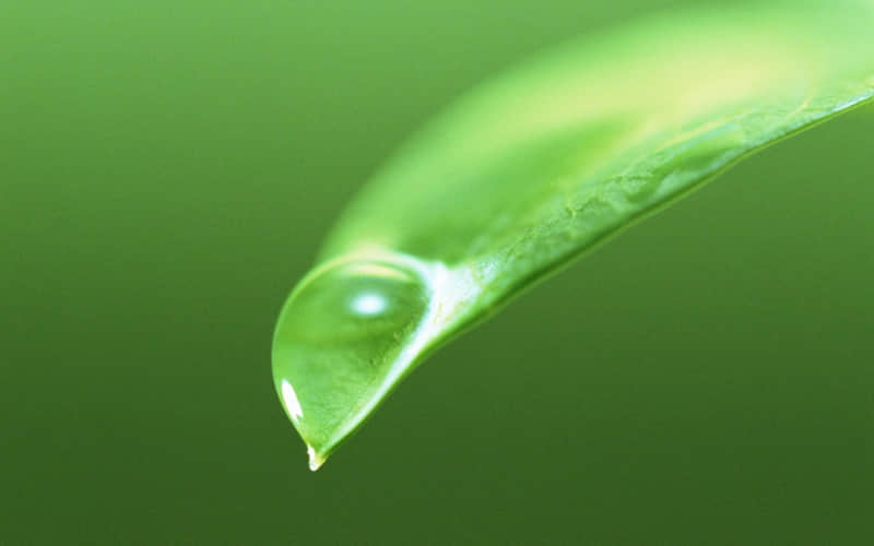 孔子经典名言警句：人无远虑，必有近忧
