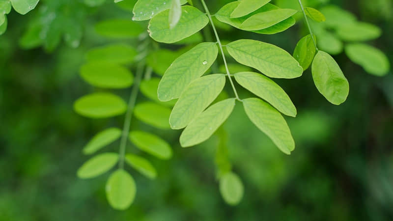 开学的搞笑说说：其实长相真的不重要，爱情在乎的是感觉，但是我对丑的没感觉