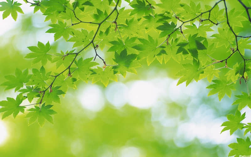 加油努力未来可期的句子 努力向上的加油语录