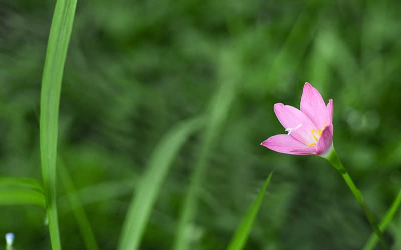“抄起来，5月的朋友圈一定要这样发”