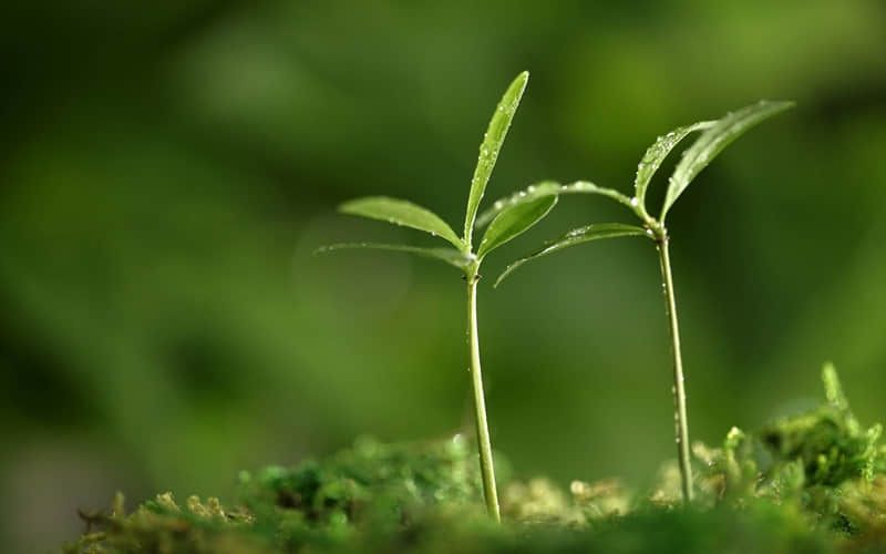 “写给2025的自己丨要爱己，先沉淀”