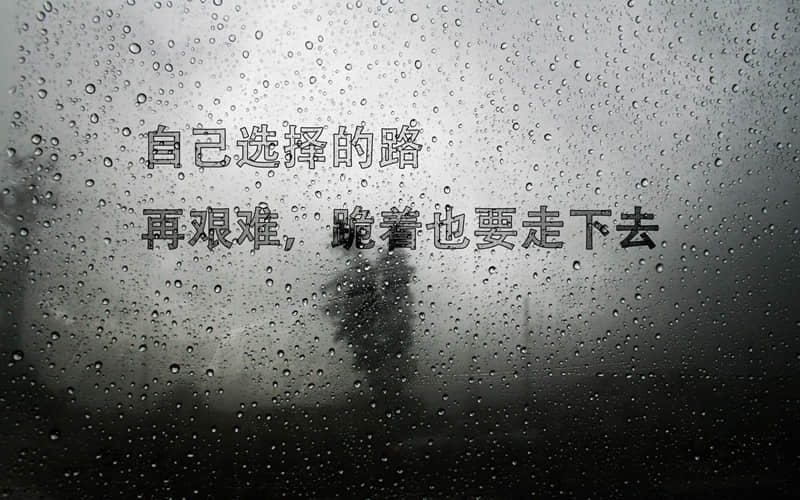 郭沫若的诗集