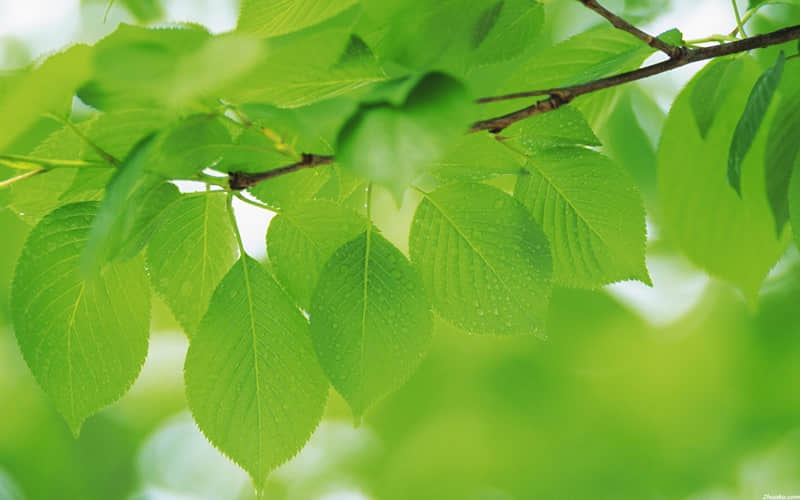 文艺一点的结婚祝福语朋友圈精选(精选65句)