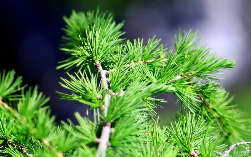 经典励志名言警句：不经历风雨，怎能见彩虹？