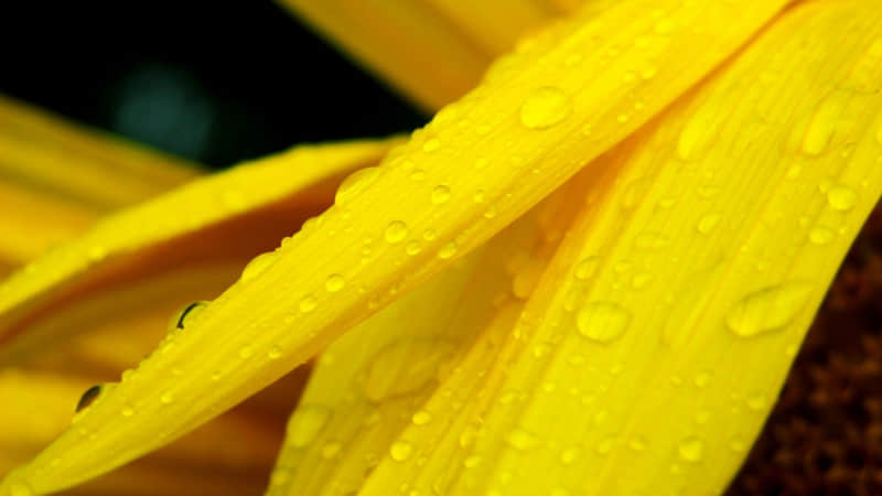 雷人犀利的搞笑语录：没有韩红的命却得了韩红的病...女儿胖儿子不肯吃饭饭