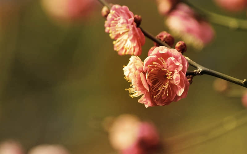 6.1儿童节的祝福语好听 2022儿童节给小朋友祝福语