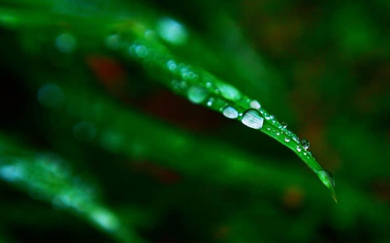 关于让人努力的名言警句：没有永远的胜利，只有永远的努力
