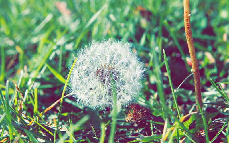 为人处世，64个能让你大彻大悟的人性真相。