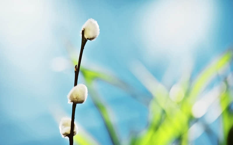 qq心累了的伤感说说绝望的痛 羡慕你们互相喜欢的爱情