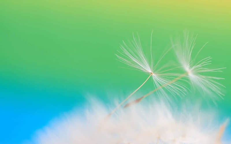 突然扎了你的心的一句话 一句话刺痛了我心的句子