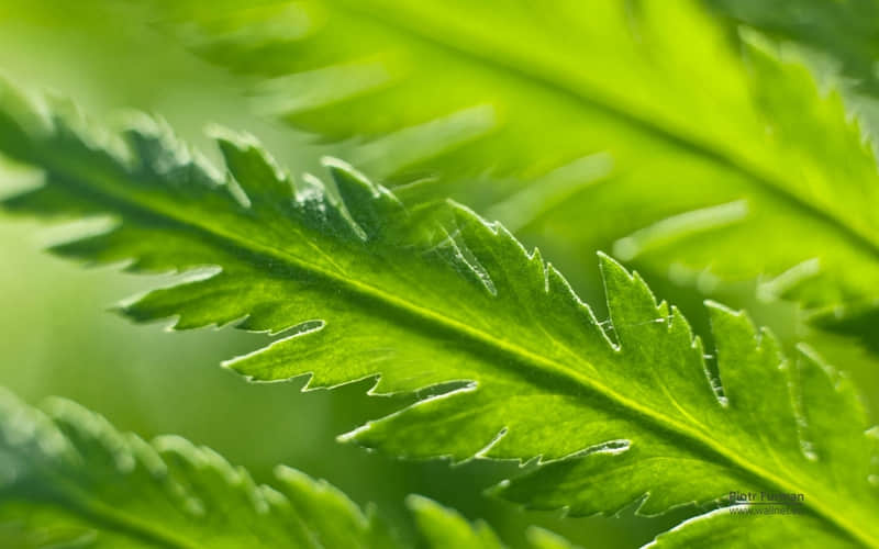 搞笑说说：我自横刀向天笑，笑完之后去睡觉!