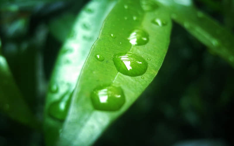 经典爱情现代诗