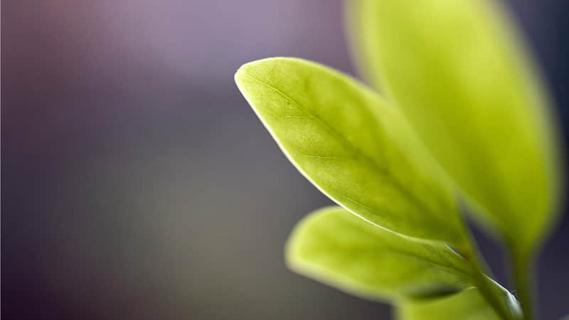 激励你努力前行的励志句子 激励自己努力上进的话