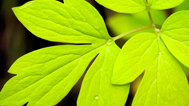 雷人空间说说：虚情假意的人别说对不起，你滚就是最好的道歉！