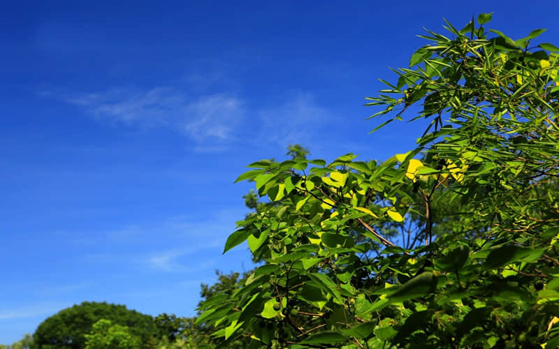 很丧的时候瞬间充满希望的句子 当然不会试图摘月 我要月亮奔我而来