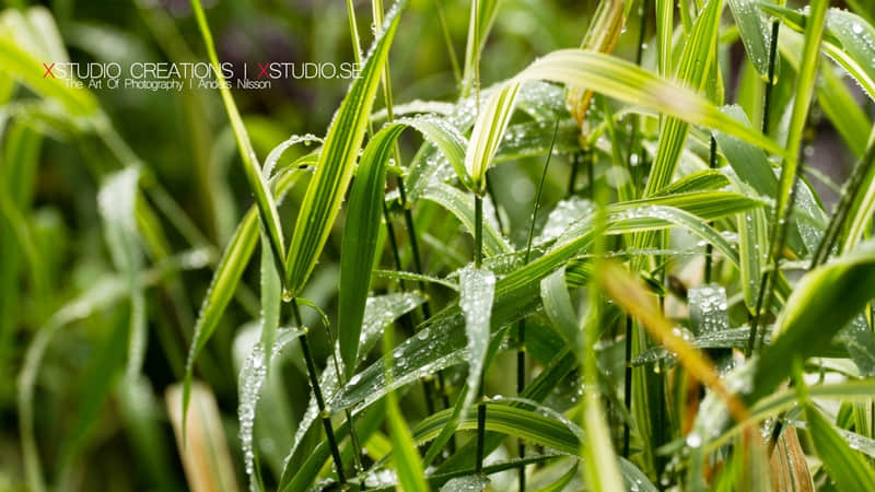 因为造句子一年级简单一点(精选58句)