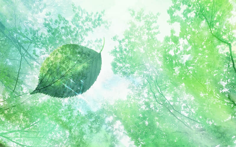 人还是要乐观，心碎了就对自己说，碎碎平安。