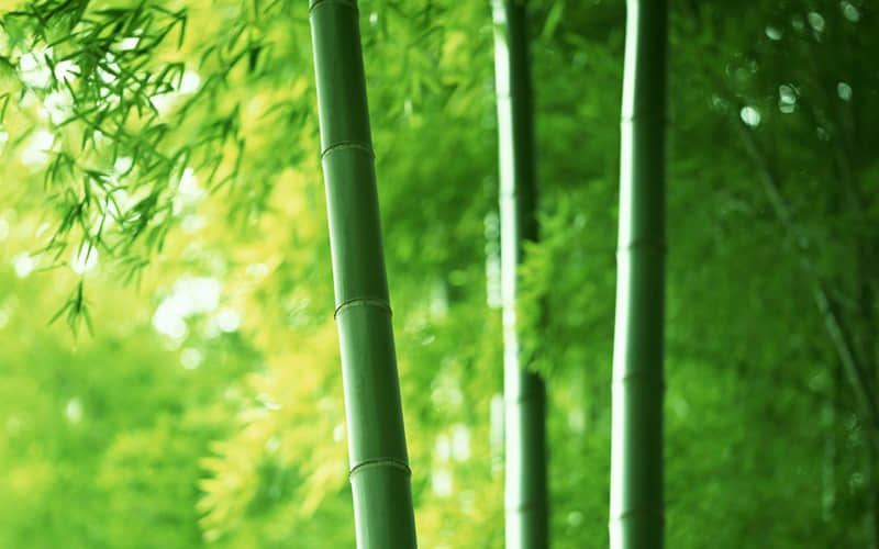 十首快意人生的经典诗词