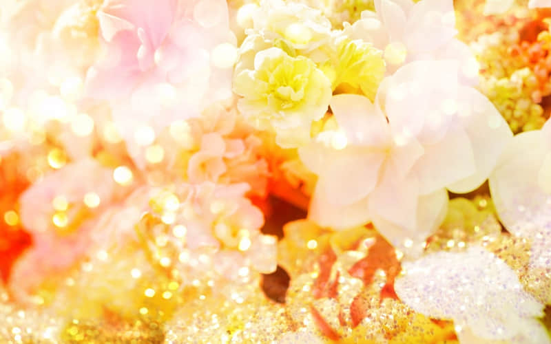☀️²⁰²⁵/₀₂.₁₅【早安心语】“早安这样发，保证惊艳你的朋友圈”