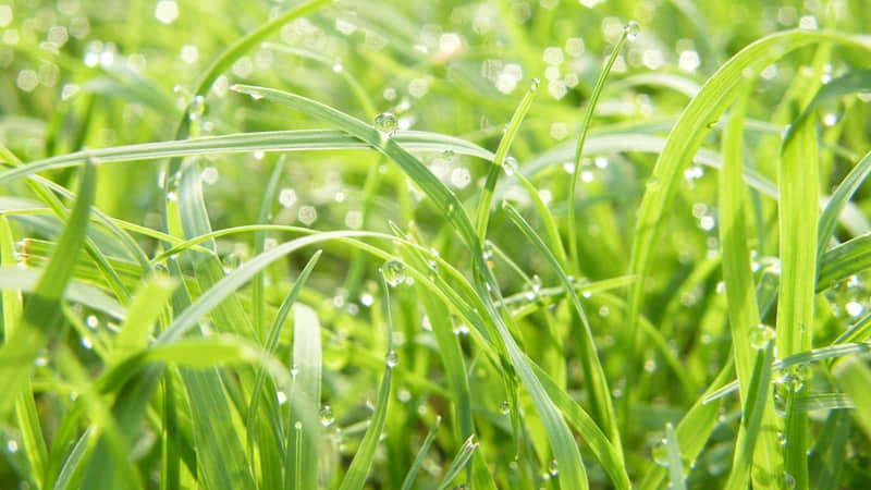哀悼对联：上联：万里云天悲落日。下联：长著芳名于竹帛