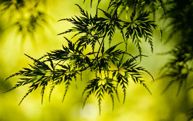 “发一句，你的失望委屈 某人看了瞬间对你愧疚亏欠”