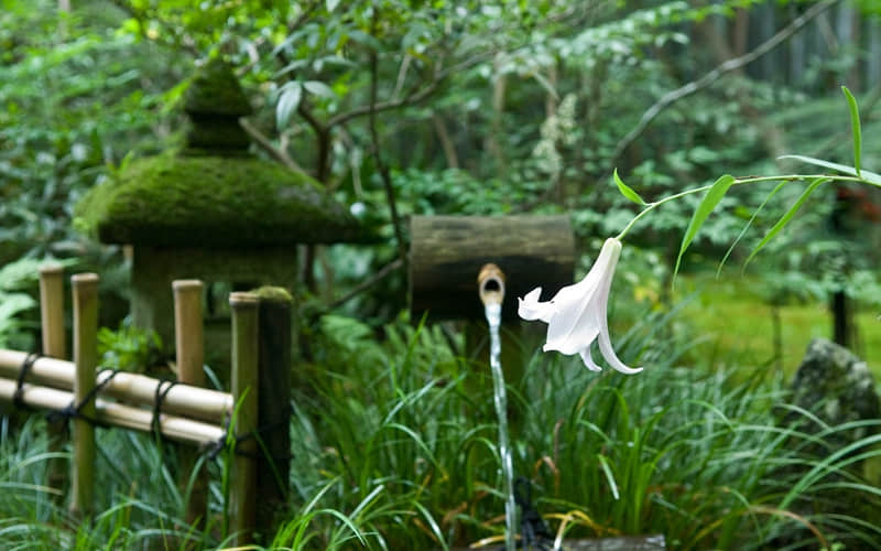元宵节关于吃汤圆的说说大全：明月圆圆添思念，汤圆圆圆好运传，元宵佳节忆友情，短信字字透真情
