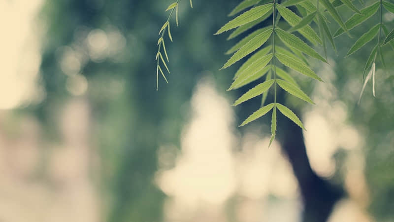 不想说话的朋友圈说说(精选47句)