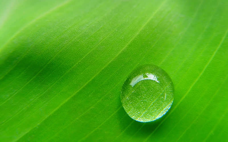 未来充满憧憬的句子简短 憧憬未来美好的文案