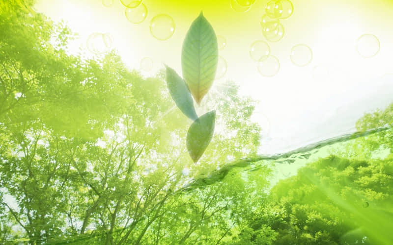秋季让人勾起丝丝感伤的句子 秋天是个让人伤感的季节短语