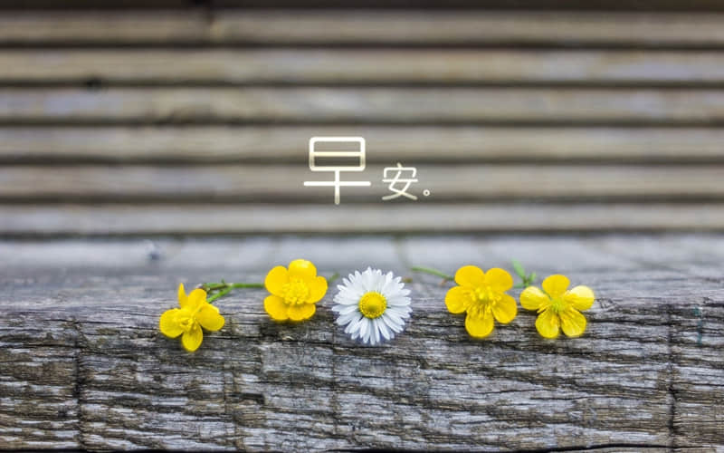 深奥哲理内涵句子名言：要替别人着想，但为自己而活