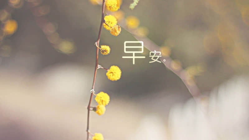 生活不需要取悦别人的句子 生活过的很开心的文案