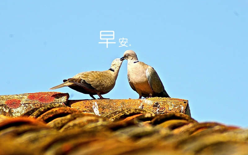 从满怀期待到失望透顶的说说(精选32句)