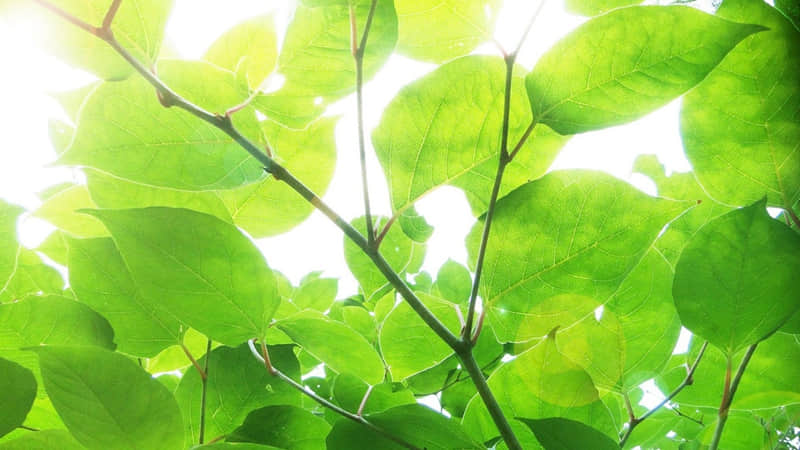 带你走出迷茫的哲理句子