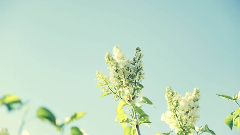 预防青少年违法犯罪宣传标语(55句)