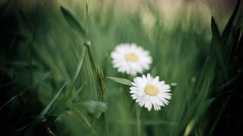 6.1儿童节的祝福语好听 2022儿童节给小朋友祝福语