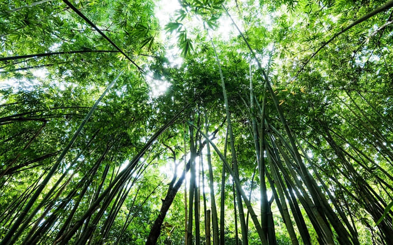 朋友圈仅一人可见的说说 很高级的好听短句 一眼既是万年，一眼便是一世。