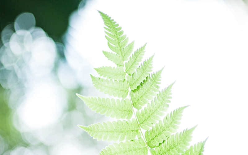 古代经典对联千古绝对大全：上联：少水沙即现，下联：是土堤方成