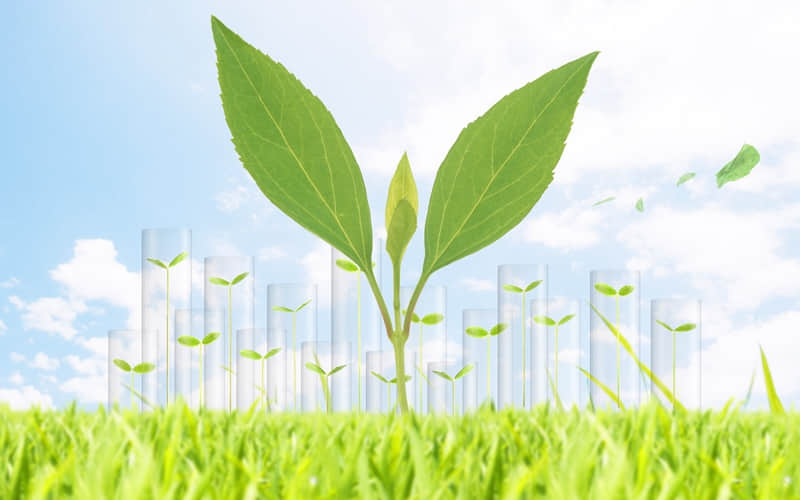 关于教育的名言：师者，人之模范