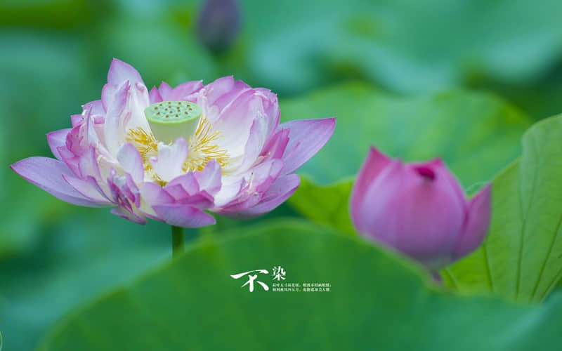 QQ空间的伤感说说：在落泪以前的转身，是那么的不甘心，是那么的留恋曾经的故事